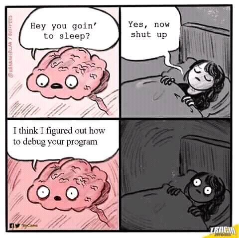 Why developers don't sleep | developer-memes, program-memes, bug-memes, debug-memes | ProgrammerHumor.io