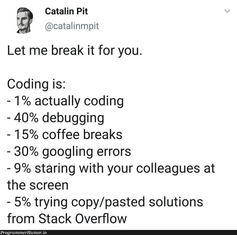 He did break it down quite accurately | coding-memes, stack-memes, stack overflow-memes, try-memes, debugging-memes, errors-memes, bug-memes, error-memes, debug-memes, overflow-memes, IT-memes | ProgrammerHumor.io