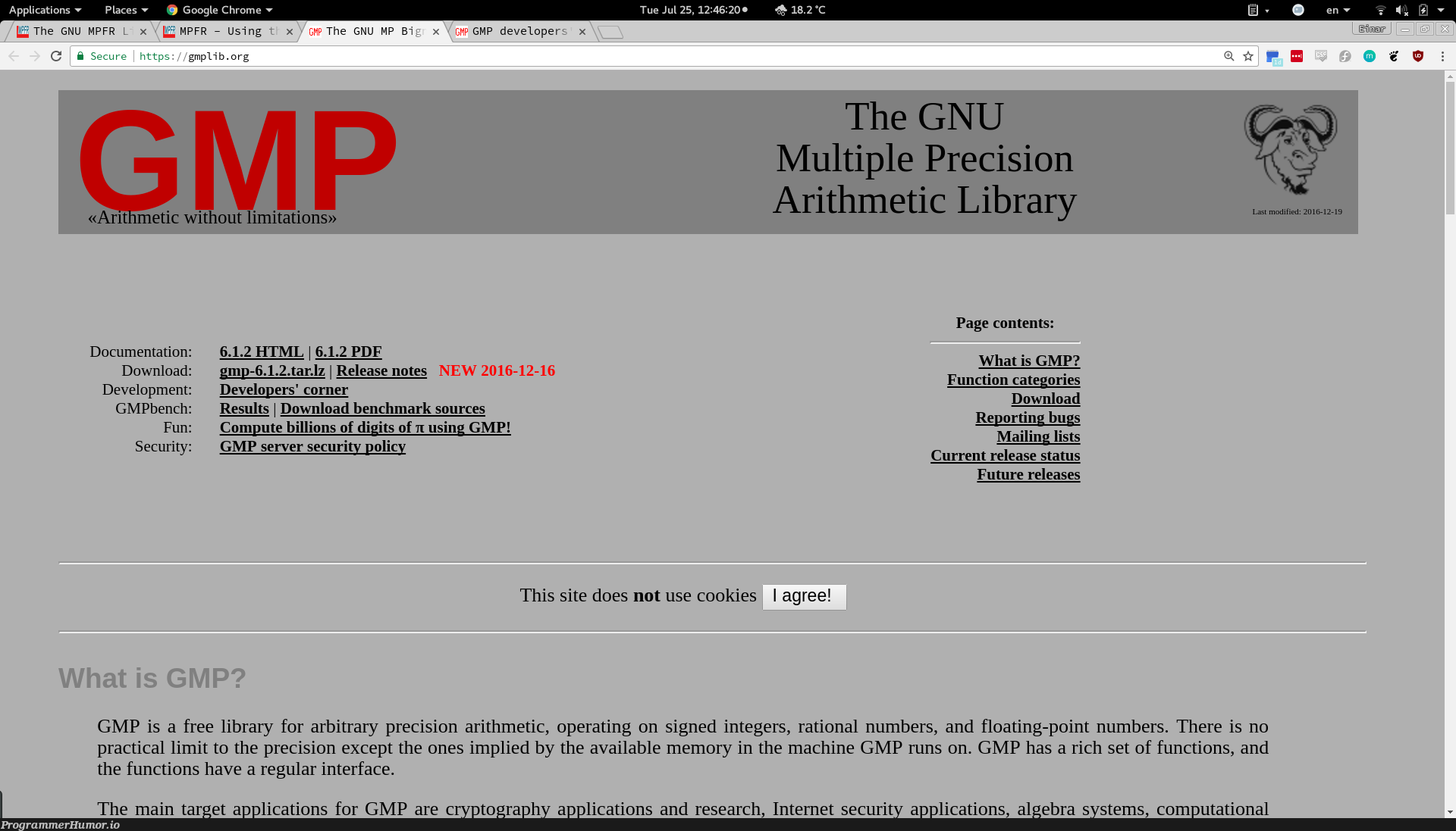 I'm pretty sure GNU GMP has the best cookie-alert | developer-memes, html-memes, development-memes, server-memes, google-memes, bugs-memes, bug-memes, machine-memes, git-memes, security-memes, list-memes, function-memes, google chrome-memes, http-memes, pdf-memes, search-memes, crypto-memes, c-memes, release-memes, internet-memes, mac-memes, ML-memes, documentation-memes, cryptography-memes, cookie-memes, graph-memes | ProgrammerHumor.io