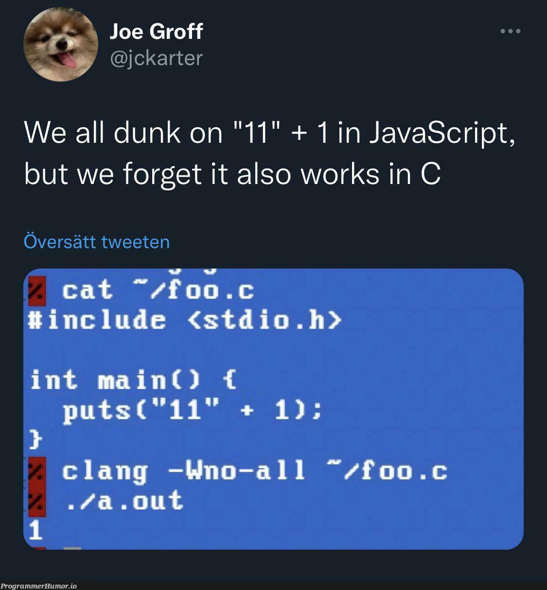 ”11” + 1 is ”1” in C | javascript-memes, java-memes, c-memes, IT-memes | ProgrammerHumor.io