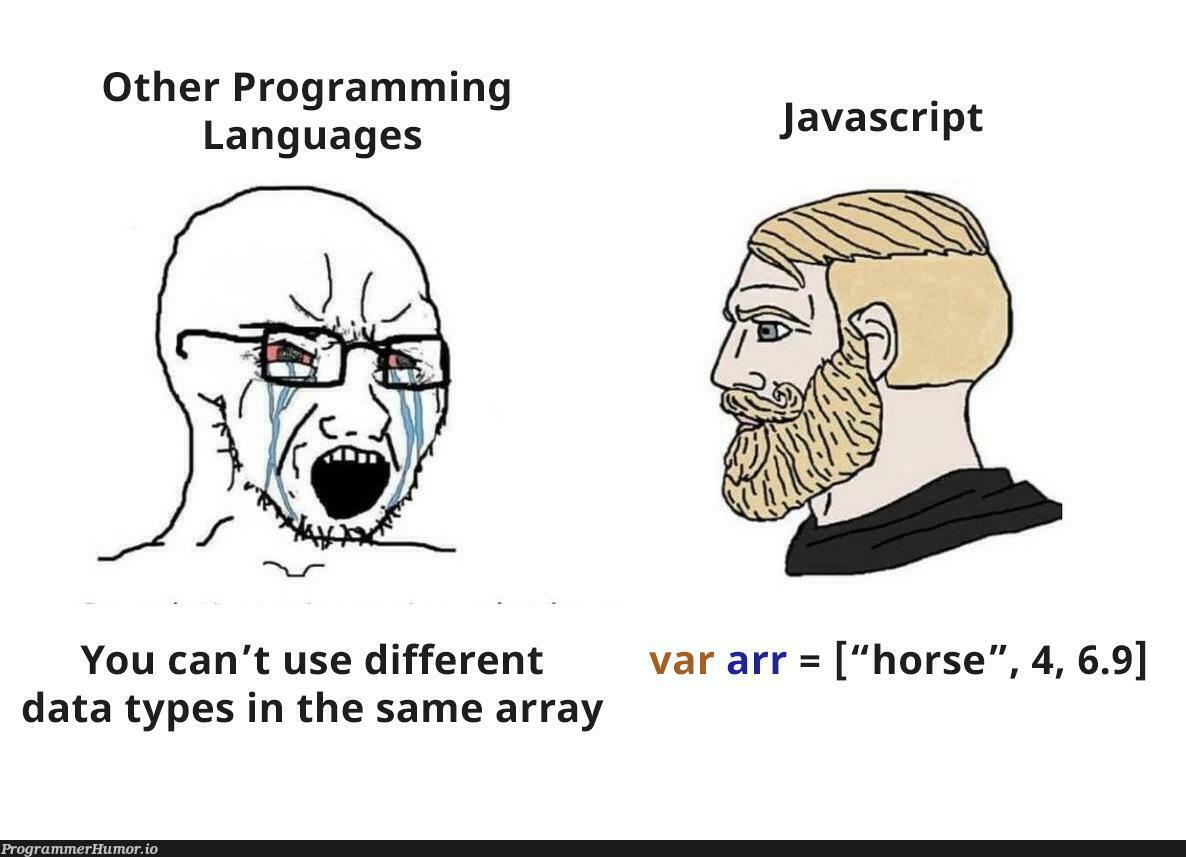 Chad Javascript | programming-memes, javascript-memes, java-memes, program-memes, array-memes, data-memes, language-memes, programming language-memes | ProgrammerHumor.io