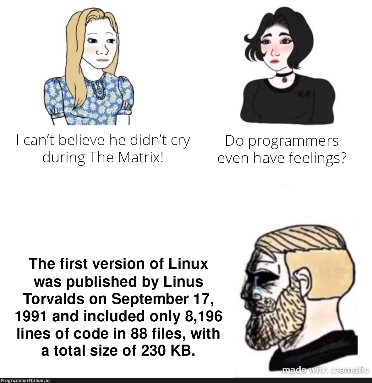 230kb | programmer-memes, code-memes, linux-memes, ux-memes, program-memes, lines of code-memes, version-memes | ProgrammerHumor.io