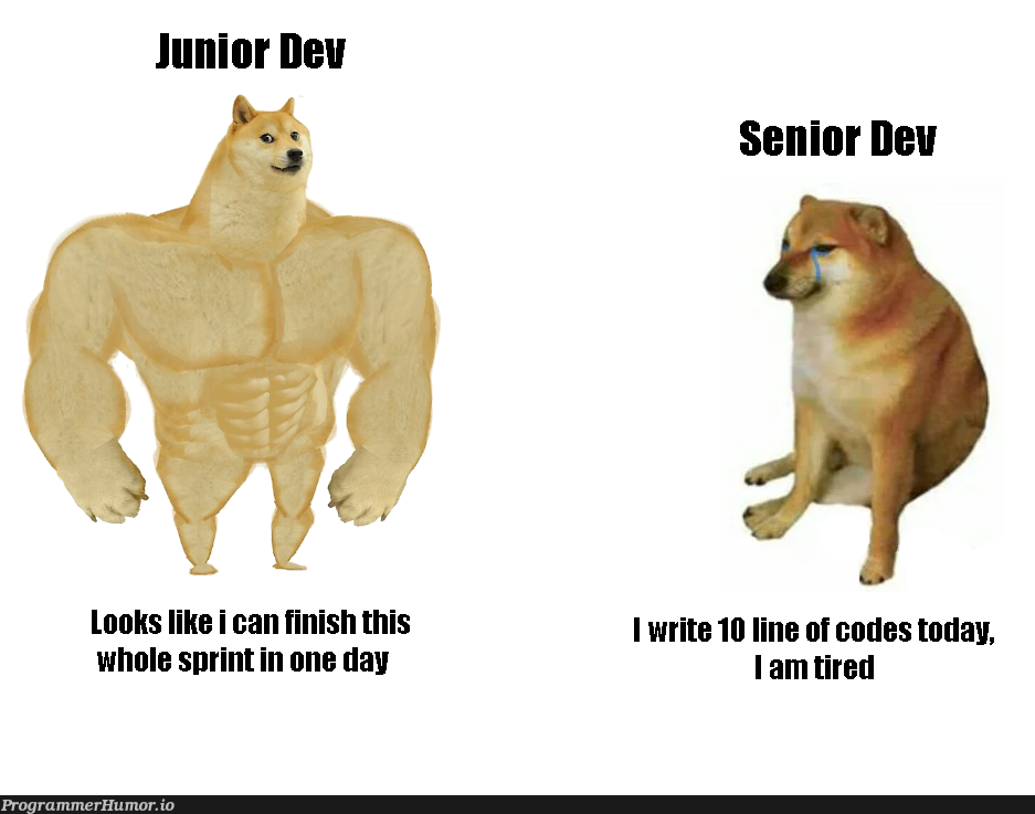 //this is a meme | code-memes | ProgrammerHumor.io