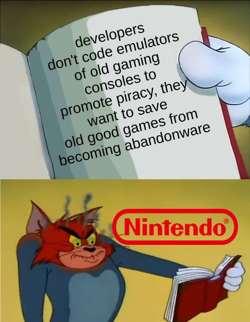 I will lawfully differ, said Nintendo | ProgrammerHumor.io