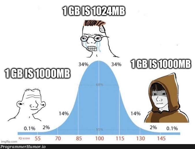 1 gb is 1000 mb | ProgrammerHumor.io