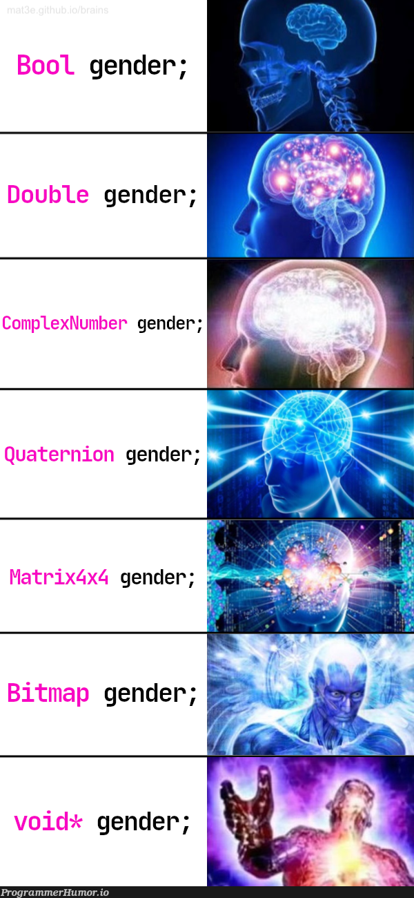 I found the ultimate gender type | ProgrammerHumor.io