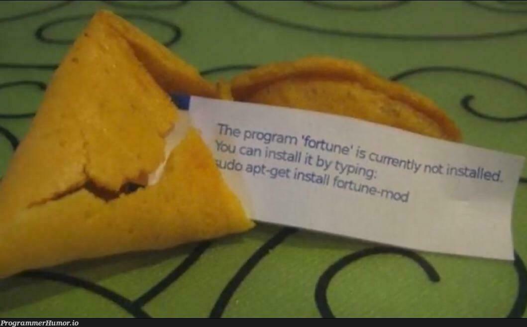 cool fortune cookie | cookie-memes | ProgrammerHumor.io