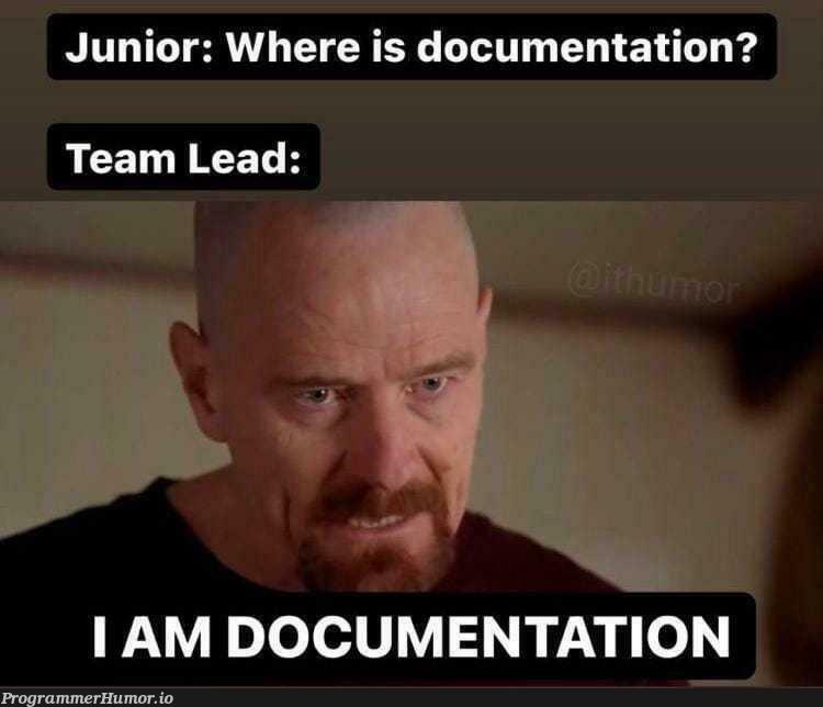 Look at me | documentation-memes | ProgrammerHumor.io