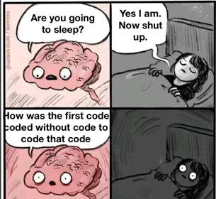 Every night | ProgrammerHumor.io