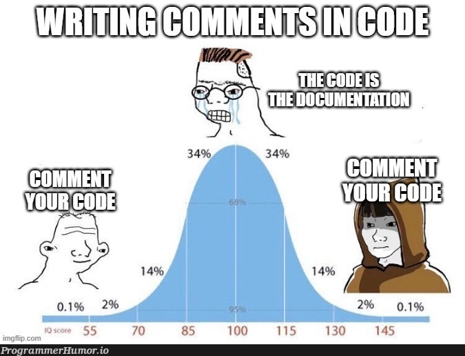 Writing comments in code | code-memes, comment-memes | ProgrammerHumor.io