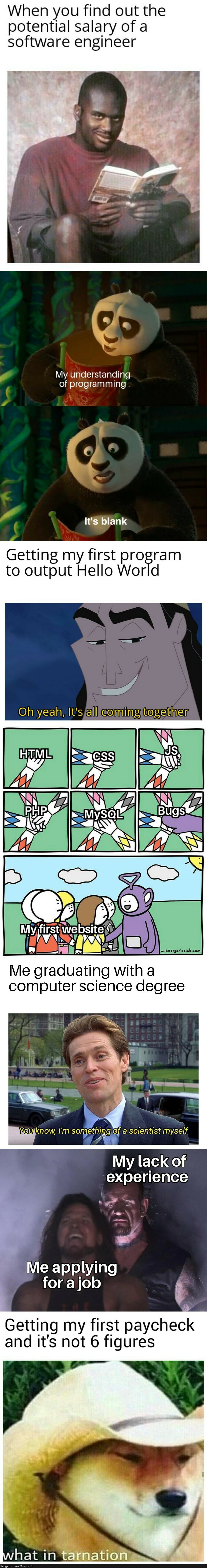 A meme about my journey with programming | programming-memes, software-memes, computer-memes, computer science-memes, engineer-memes, software engineer-memes, program-memes | ProgrammerHumor.io