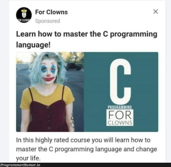 Honk honk? | programming-memes, program-memes, c-memes, language-memes, programming language-memes | ProgrammerHumor.io