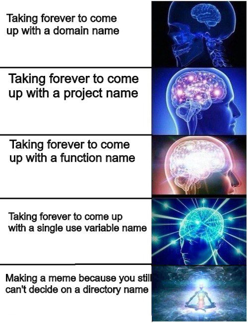 The struggle is real | function-memes, ide-memes, variable name-memes | ProgrammerHumor.io