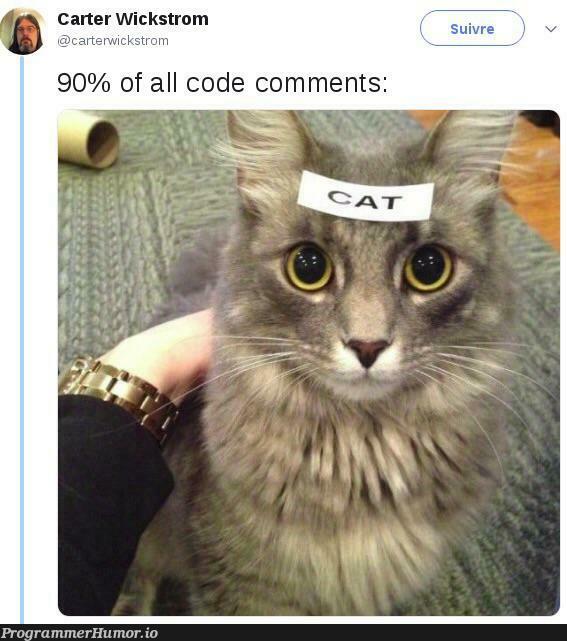 Title | ProgrammerHumor.io