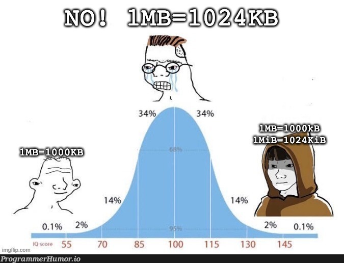 Just did a research about the byte units and was shocked by what a mess it is. | search-memes, IT-memes | ProgrammerHumor.io