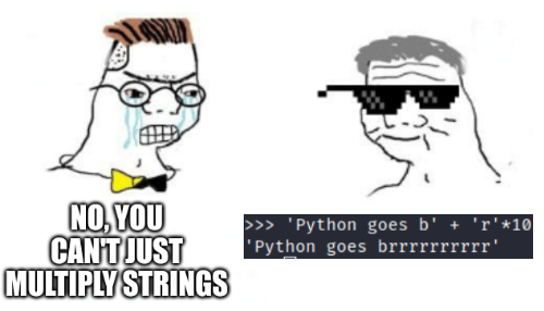 Python goes brrrr | python-memes, string-memes | ProgrammerHumor.io