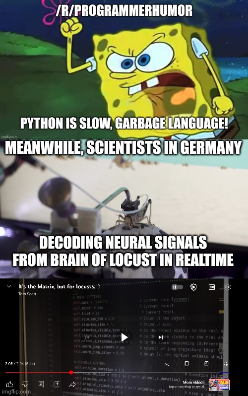 Python is slow, garbage language! | coding-memes, python-memes, language-memes | ProgrammerHumor.io