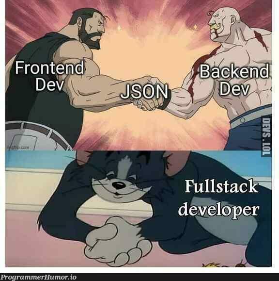 What does JSON stand for? | developer-memes, stack-memes, json-memes, fullstack-memes | ProgrammerHumor.io