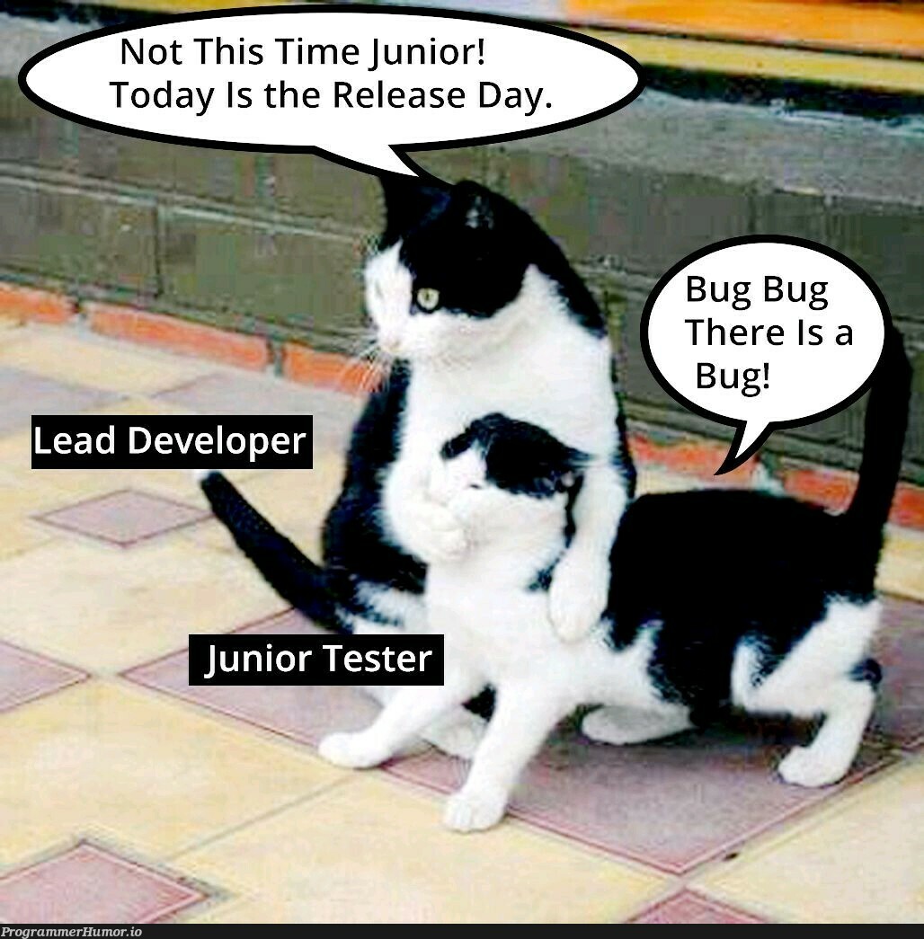 When juniors overflow with the excitement... | release-memes, overflow-memes | ProgrammerHumor.io