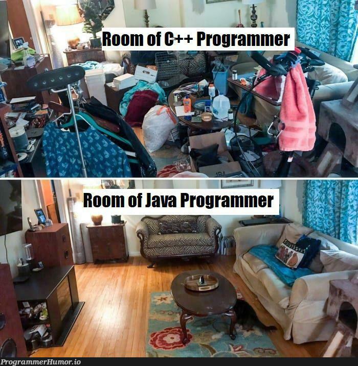 C++ Programmer is fast because it doesn't waste time cleaning the room. | programmer-memes, program-memes, c++-memes, IT-memes | ProgrammerHumor.io