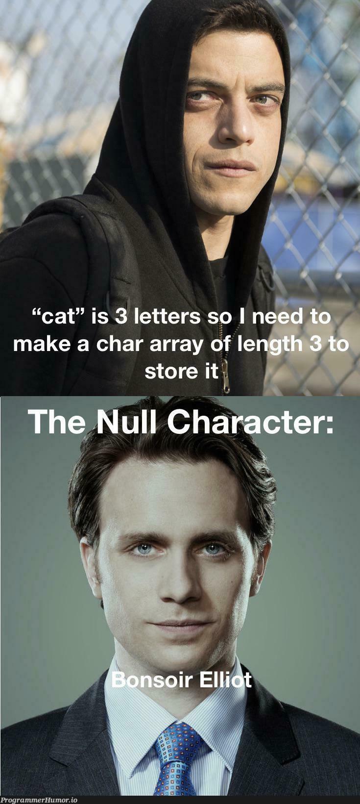 A little C meme I made based off Mr. Robot | c-memes, bot-memes | ProgrammerHumor.io