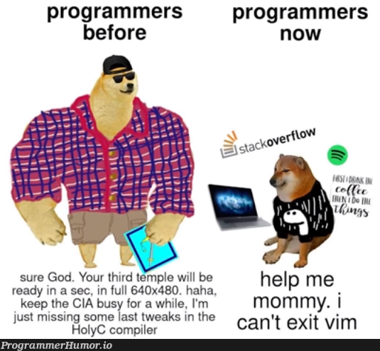 Programmers Then VS Now | programmer-memes, vim-memes, program-memes, compiler-memes | ProgrammerHumor.io