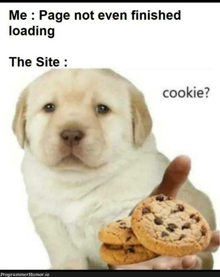 No, Thank you!! | cookie-memes | ProgrammerHumor.io