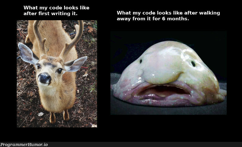 When you walk away from some code for too long. | code-memes | ProgrammerHumor.io