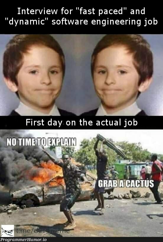 Cactus is for server rescue | software-memes, engineer-memes, software engineer-memes, engineering-memes, server-memes, interview-memes | ProgrammerHumor.io