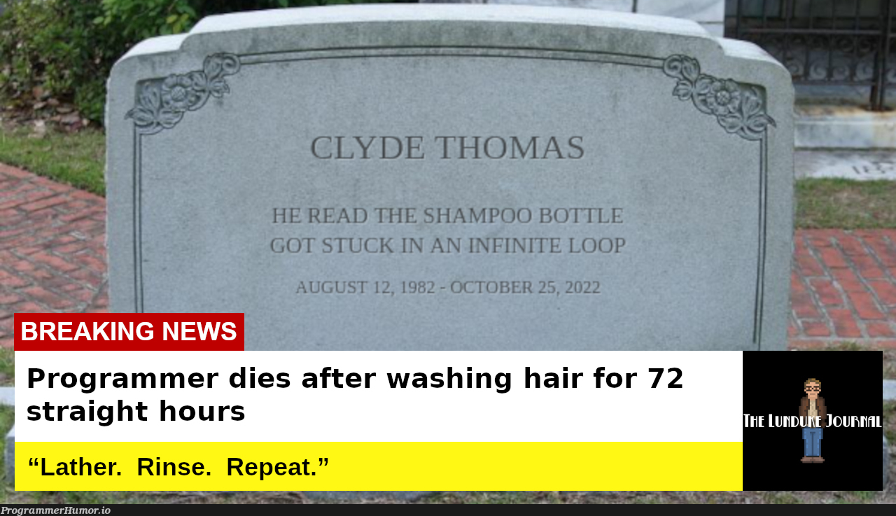 Programmer dies after washing hair for 72 straight hours | programmer-memes, program-memes | ProgrammerHumor.io