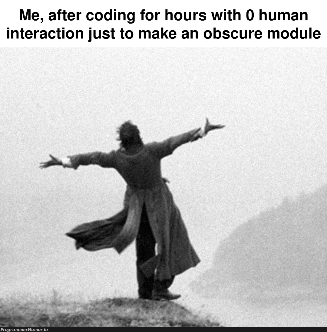 Totally worth it | coding-memes | ProgrammerHumor.io