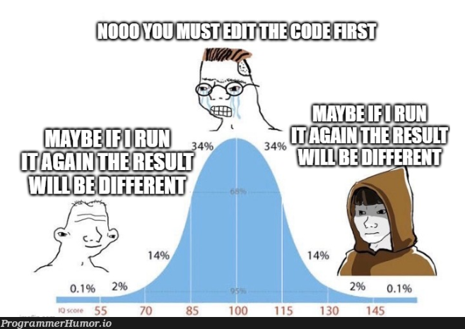 Maybe if I run it again, the result will be different | IT-memes | ProgrammerHumor.io