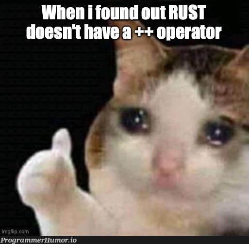 Why though? | rust-memes | ProgrammerHumor.io