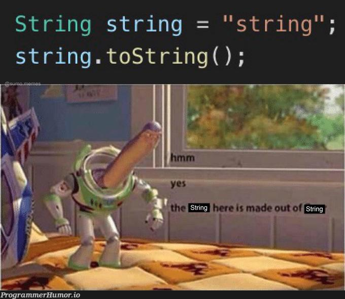 string | string-memes | ProgrammerHumor.io