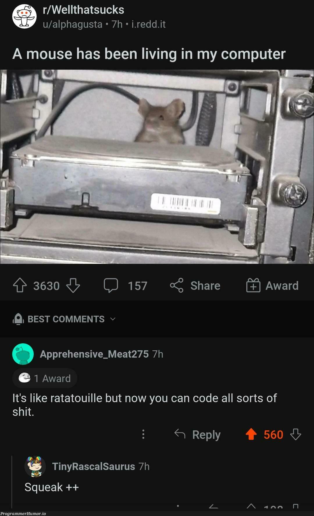 coder rat | code-memes, coder-memes, comment-memes | ProgrammerHumor.io