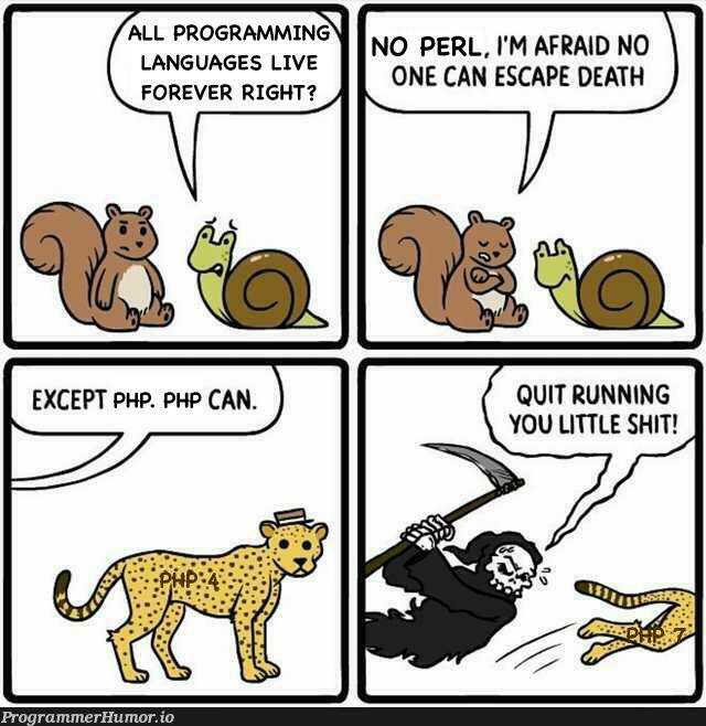 Keep running you little shit | program-memes, perl-memes, language-memes | ProgrammerHumor.io