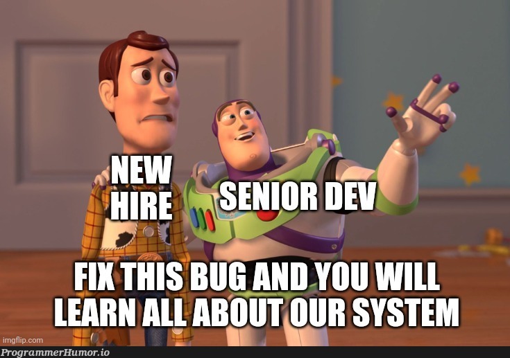 Every new dev hire onboarding | ProgrammerHumor.io