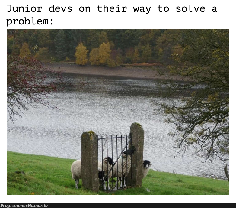 Well, at least one of them is brainy. | devs-memes | ProgrammerHumor.io