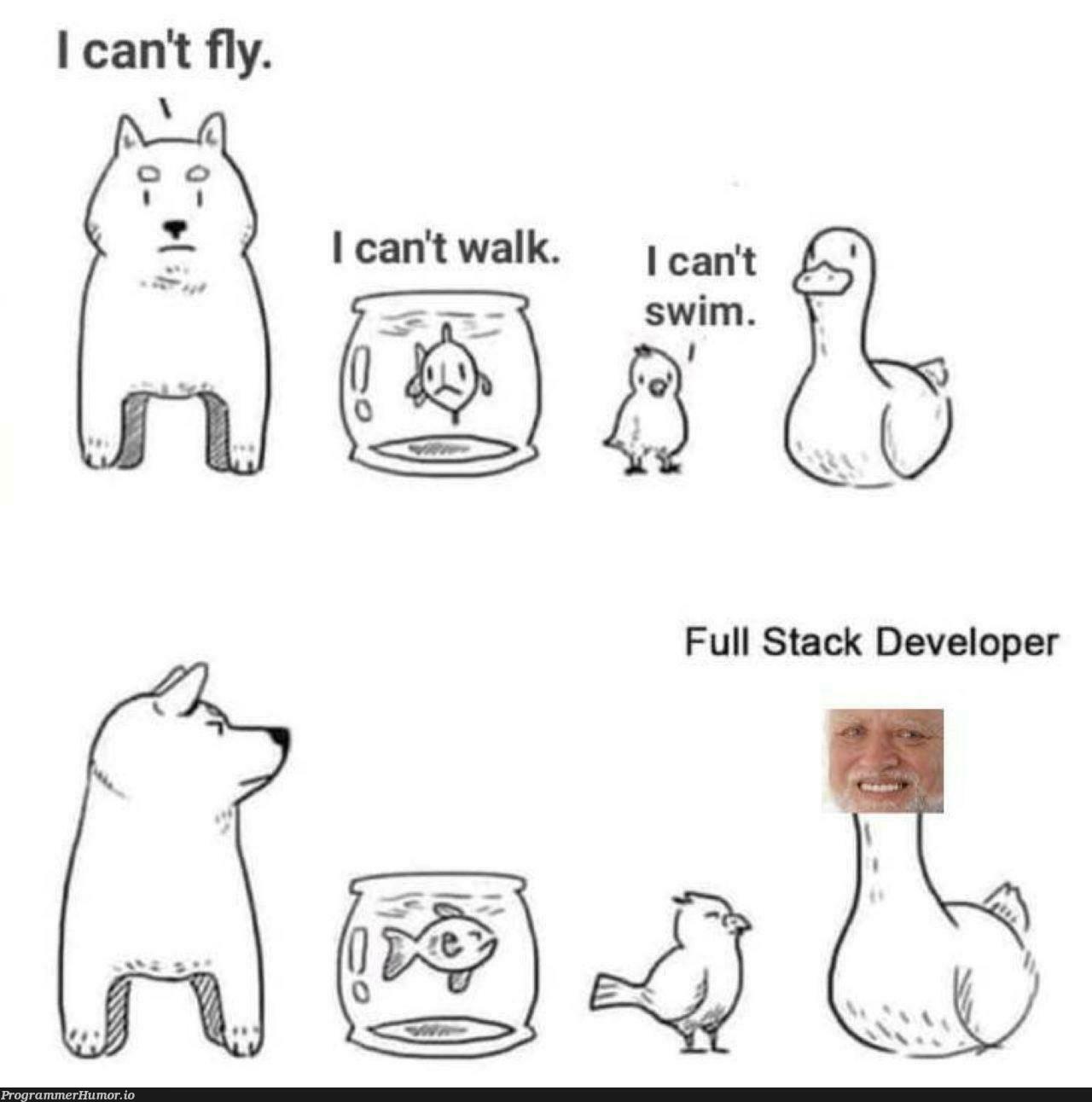 Ducks are cool! | ProgrammerHumor.io