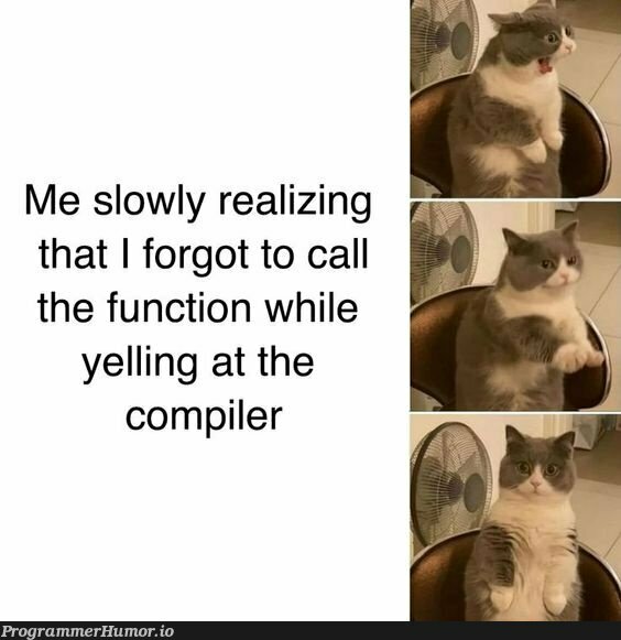 Happens , many times! | function-memes, compiler-memes | ProgrammerHumor.io