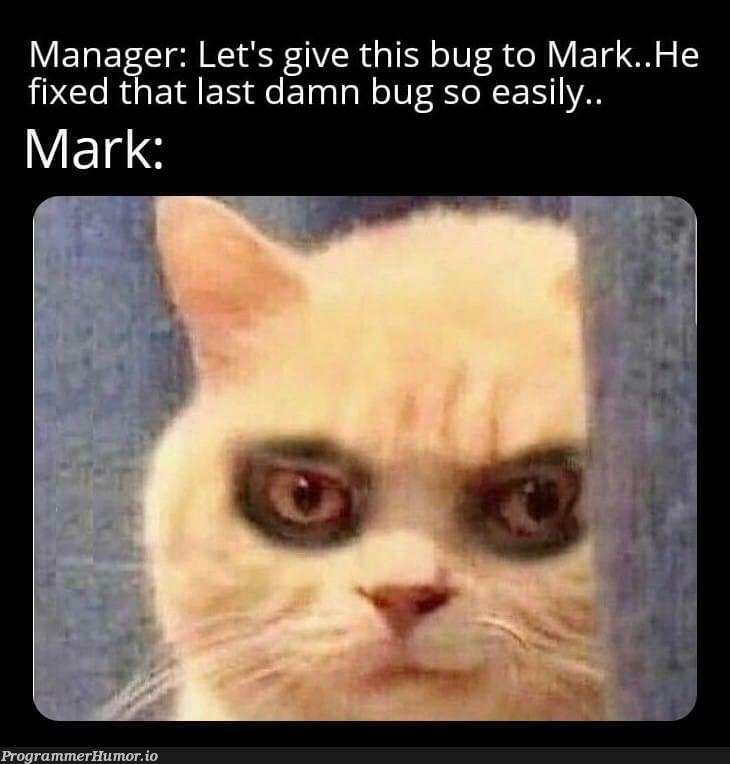 Mark is fast | bug-memes, fix-memes, manager-memes | ProgrammerHumor.io