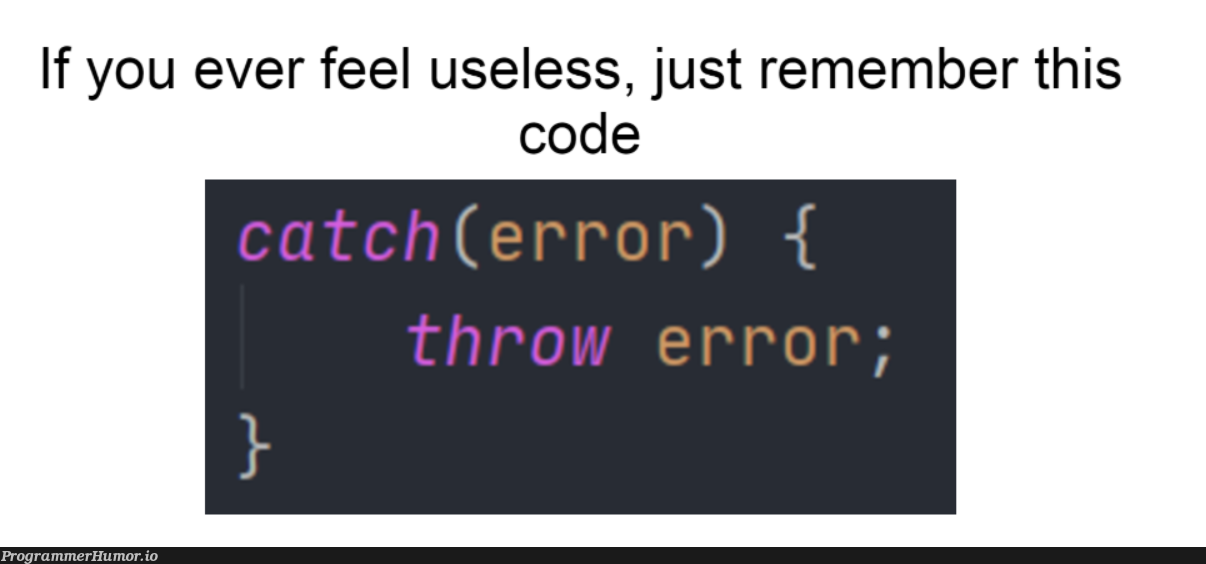 Definitely useless | code-memes, catch-memes, error-memes | ProgrammerHumor.io