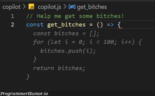 Copilot is the best! | ProgrammerHumor.io