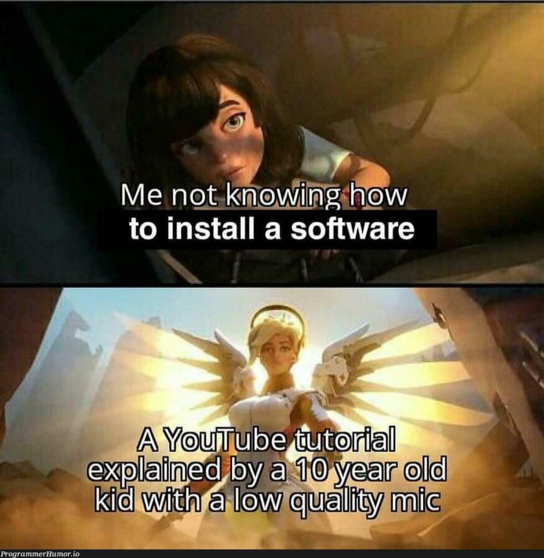 10 year old kid : hi gaisss today we will download....😀 | software-memes | ProgrammerHumor.io