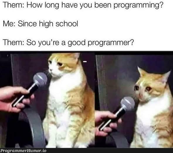 A good programmer ??? Hummmmmmmmm :( | programming-memes, programmer-memes, program-memes | ProgrammerHumor.io