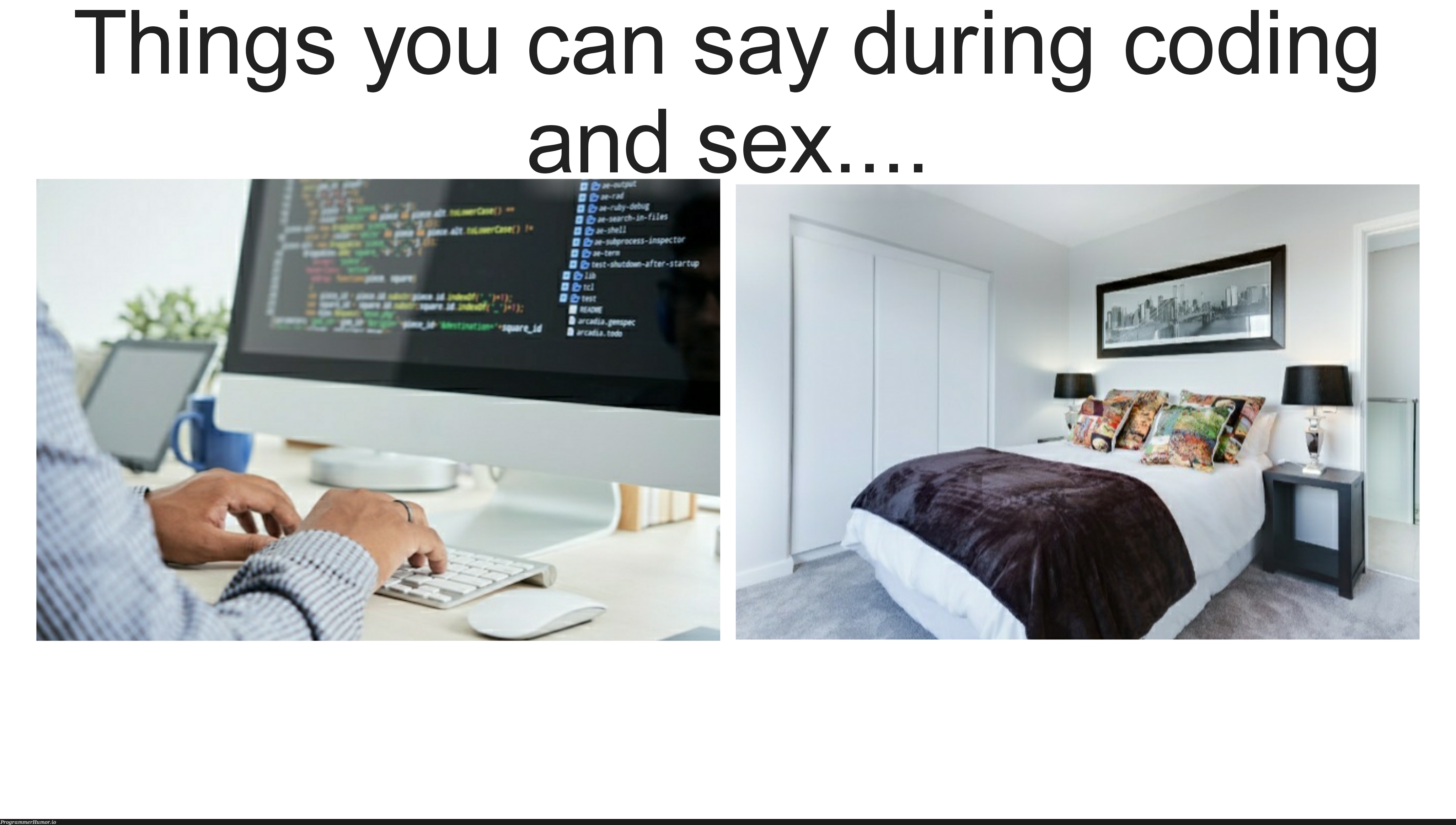 Things you can say during coding and sex?? | coding-memes, url-memes | ProgrammerHumor.io