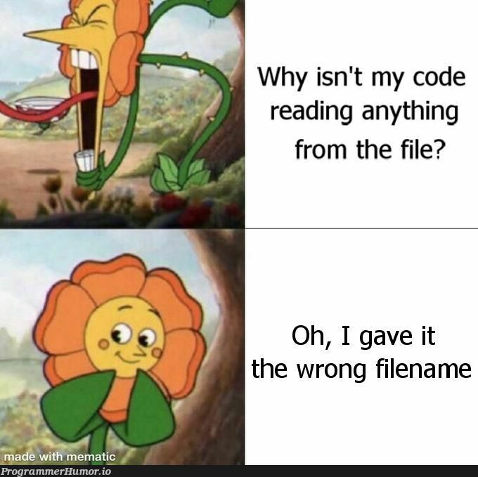 Remember when you first learned how to read from a text file? | code-memes, IT-memes | ProgrammerHumor.io