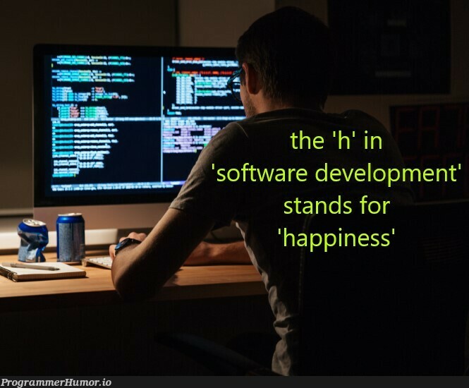 happiness | software-memes, development-memes | ProgrammerHumor.io