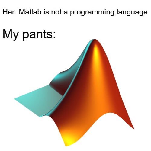 What do you mean arrays start at 1?! | programming-memes, program-memes, array-memes, arrays-memes, matlab-memes, language-memes, programming language-memes | ProgrammerHumor.io