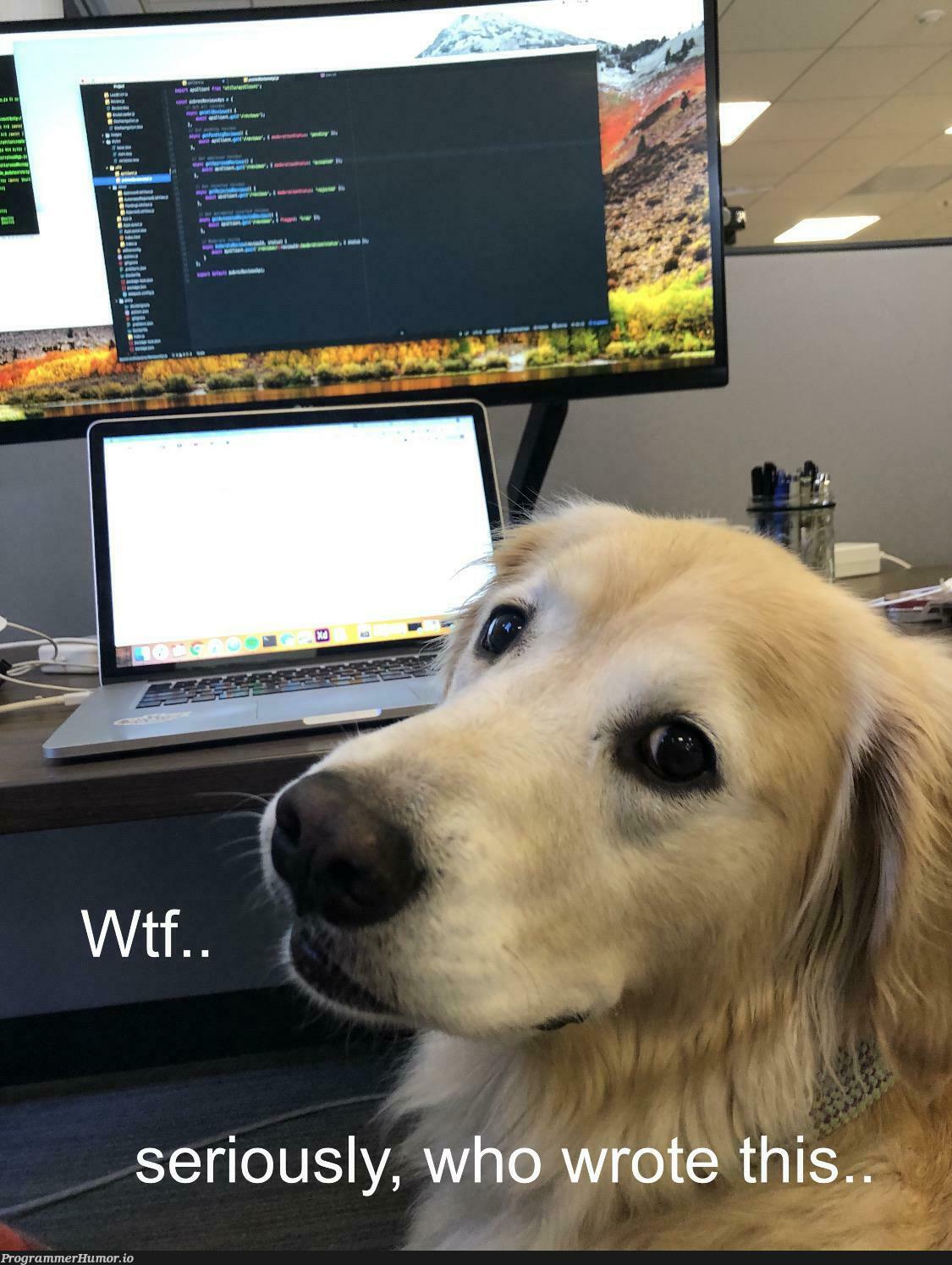 good gorl comes for head scritch, stays for scathing code review | code-memes | ProgrammerHumor.io